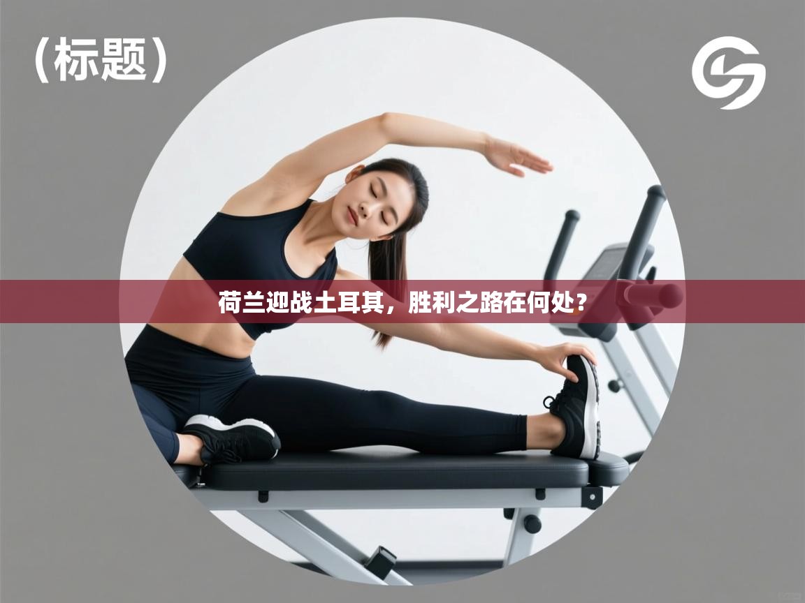 荷兰迎战土耳其,胜利之路在何处? 第2张